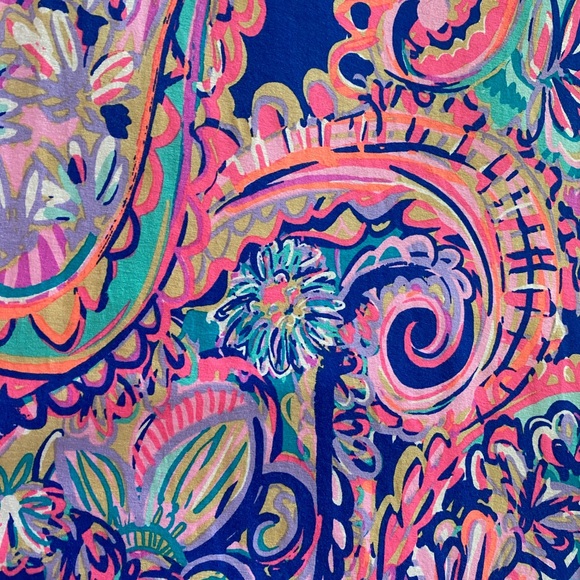 Lilly Pulitzer Dress - Picture 4 of 5